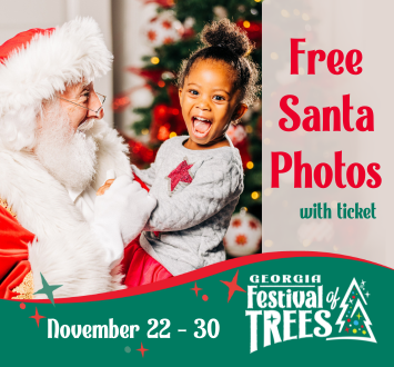 More Info for Georgia Festival of Trees