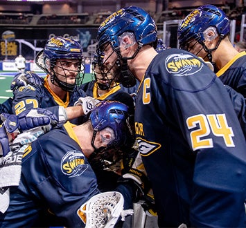 More Info for Georgia Swarm