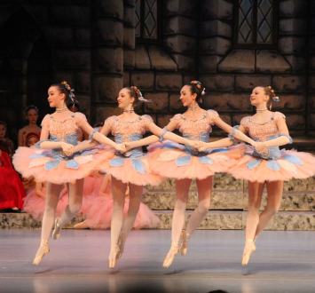 More Info for Sleeping Beauty